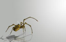 Brass Gear Spider